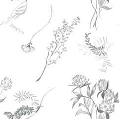Seamless pattern with pencil sketches of wildflowers