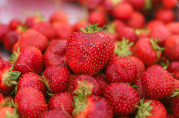 Vegetables from the bazaar, fresh without GMO