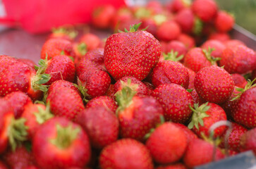 Vegetables from the bazaar, fresh without GMO