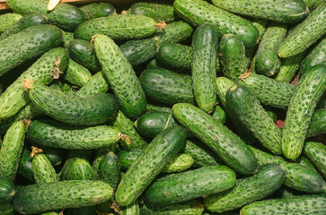 Vegetables from the bazaar, fresh without GMO