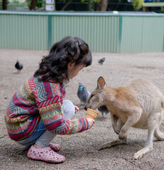 girl feeding a kangaroo
