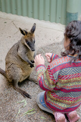 girl feeding a kangaroo
