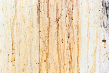 metal old rusty door cracked paint