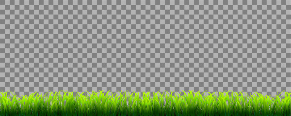 Green realistic grass border isolated on transparent background