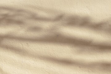 Fototapeta na wymiar sunlight shadow on abstract brown wall background texture