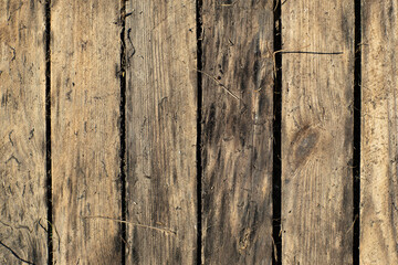 Fototapeta premium old brown boards shield grass