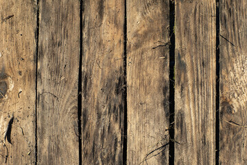 old brown boards shield grass