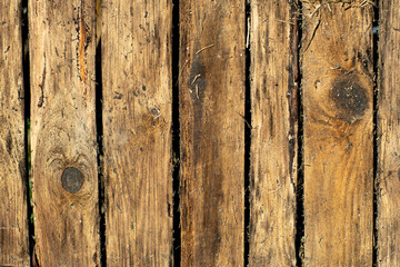 old brown boards shield grass