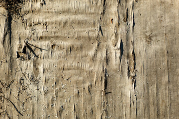 old cracked plywood