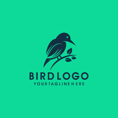 Bird logo design vector template