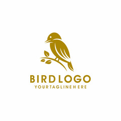 Bird logo design vector template
