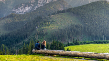 Fototapeta na wymiar para siedząca w górach na pniu drzewa