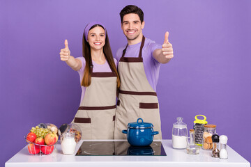 Photo of excited cheerful husband wife wear grey aprons embracing showing you thumbs up isolated violet color background