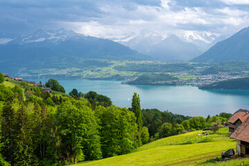 amazing view on lake Thun with green meadows and Alps