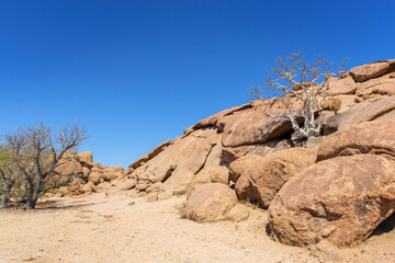 Vegetation and rocky forms in desert landscape, Damaraland, Namibia.