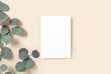 Blank greeting card, invitation mockup. Eucalyptus branches plant on beige table background. Flat lay, top view. Copy space. Paper mock up. Modern Minimal business brand template. Soft shadow