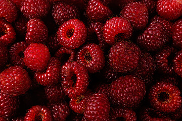 Small, red, sour and sweet fruit raspberries