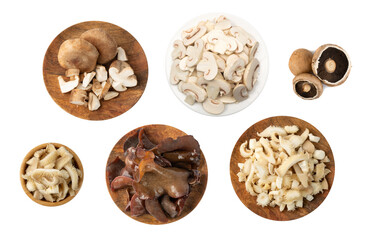 Mushrooms Mix Set