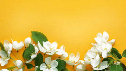 Blossoming apple tree branch on a yellow background. Top view with place for text. Summer concept with copy space.