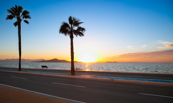Palm tree,  road and sea at sunset