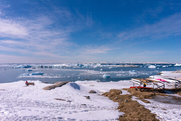 ilulissat landscape with sea and icebergs tourist woman on a bank