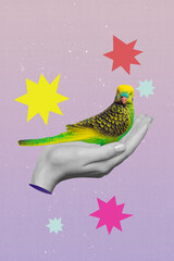 Creative collage of person palms hold green parrot concept of fauna protection saving species isolated color background