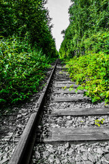 Obraz premium Alte Schiene