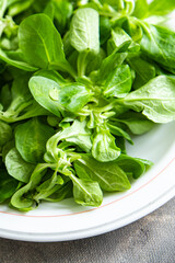 mache salad green leaves mung bean lettuce fresh healthy meal food snack diet on the table copy space food background rustic top view keto or paleo diet veggie vegan or vegetarian food