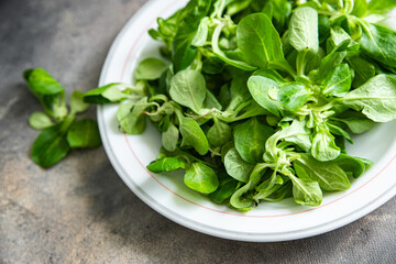 mache salad green leaves mung bean lettuce fresh healthy meal food snack diet on the table copy space food background rustic top view keto or paleo diet veggie vegan or vegetarian food