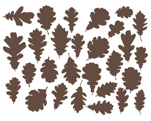 Set of silhouettes of oak leaves. Oak leaves of various shapes