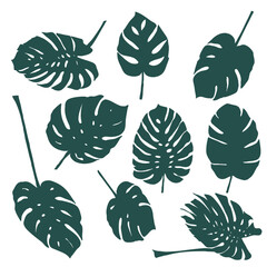 Set of monstera leaves silhouettes (9 pieces)