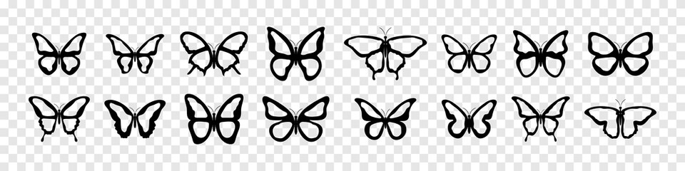 Fototapeta Butterfly vector icons. Butterflies silhouette black collection. Vector illustration obraz