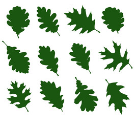 Set of leaf silhouettes of deciduous trees (12 pieces)