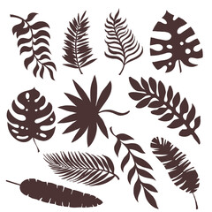 Set of silhouettes of palm leaves and other leaves of exotic trees