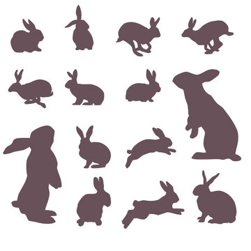 Set of rabbits and bunnies silhouettes (14 pieces)