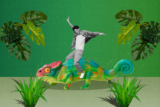 Creative image collage of active joyful guy ride lizard safari tour wildlife jungle isolated green color background