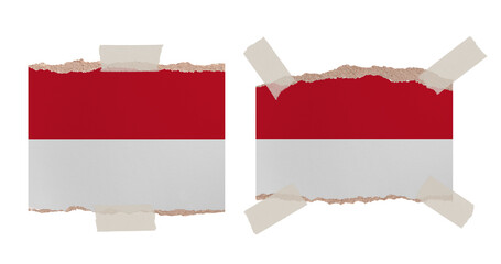 Ripped paper backgrounds in colors of national flag isolated on white. Monaco
