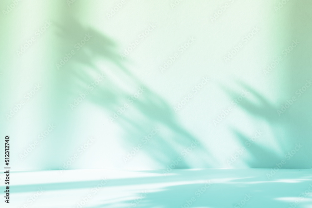Poster Abstract gradient green studio background for product presentation. Empty room with shadows of window and flowers and palm leaves . 3d room with copy space. Summer concert. Blurred backdrop.