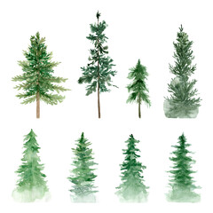 Green forest trees, mountains.