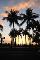 Obraz premium waikiki beach in hawaii