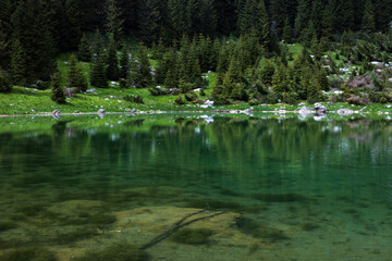Mount Krn Lakes; Duplje Lake in Slovene Julian Alps Environment of Triglav National Park