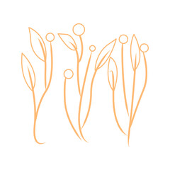 Set of blossom flowers hand drawn silhouette illustration 