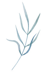 Twig with blue leaves. Blue Watercolor illustration isolated on white background.