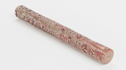 Realistic 3D Render of Tree Log