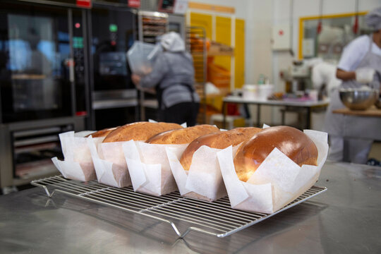 Baked loaves of bread in bakery