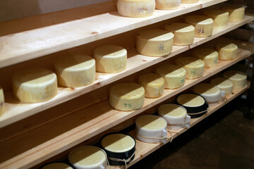 Alpine Dairy Farm - Bovine and Sheep Milk Cheese in Stock and Young Cheese in Ageing Process on Lower Decks