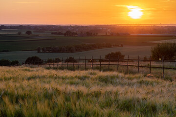 A golden sunset over the rolling hills in Banholt, south Limburg in the Netherlands creating holiday vibes. The views and the warm glow over the landscape create a feeling of being in the Mediterranea