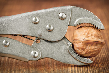 Adjustable wrench squeezing walnut to crack