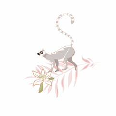 Vector hand drawn Illustration of cute funny lemur climbing on branch on white background isolated
