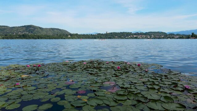 Aerial Drone - Landscape on Lake Corgeno with Water Lilies.